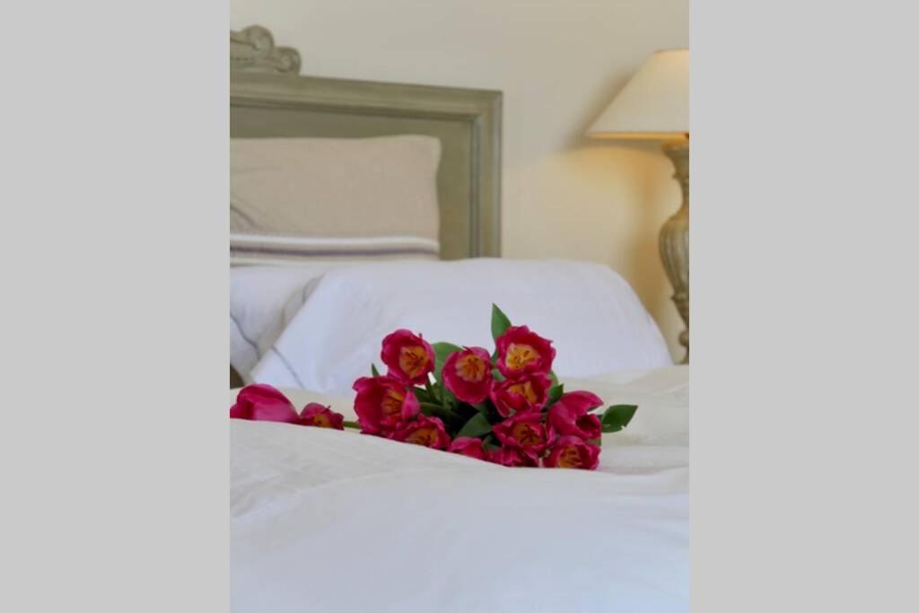 Bord De Mer - Ac, Wifi, Chic, Sea View, Beach 2 Minutes Walk Antibes Zewnętrze zdjęcie